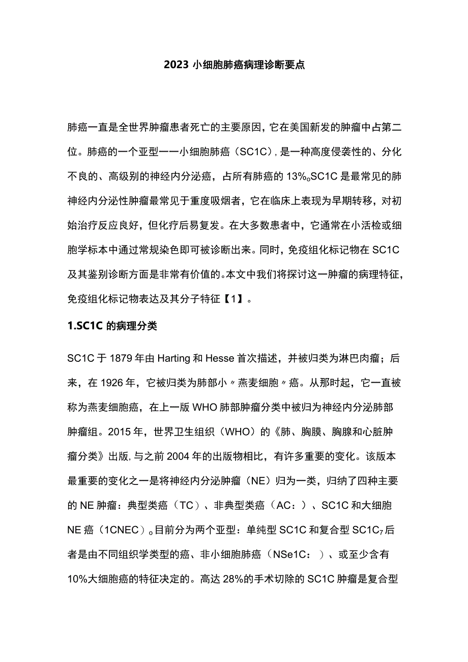 2023小细胞肺癌病理诊断要点.docx_第1页