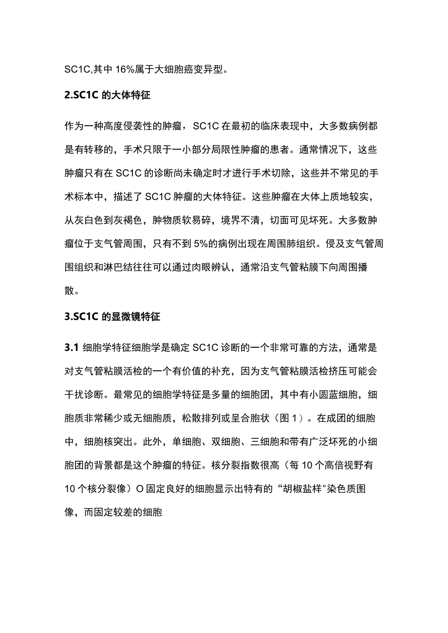 2023小细胞肺癌病理诊断要点.docx_第2页