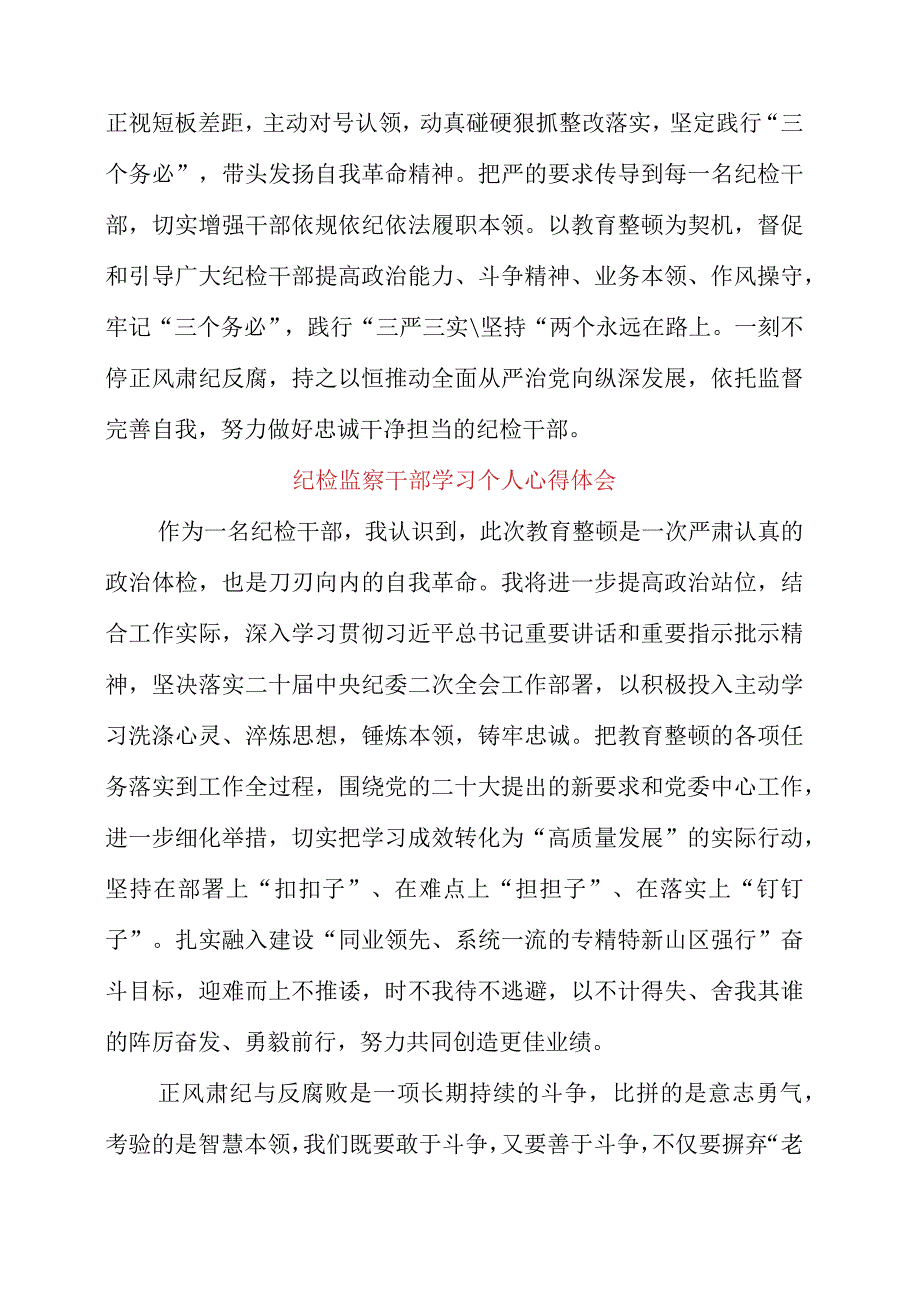 2023年纪检监察干部学习个人心得体会.docx_第2页