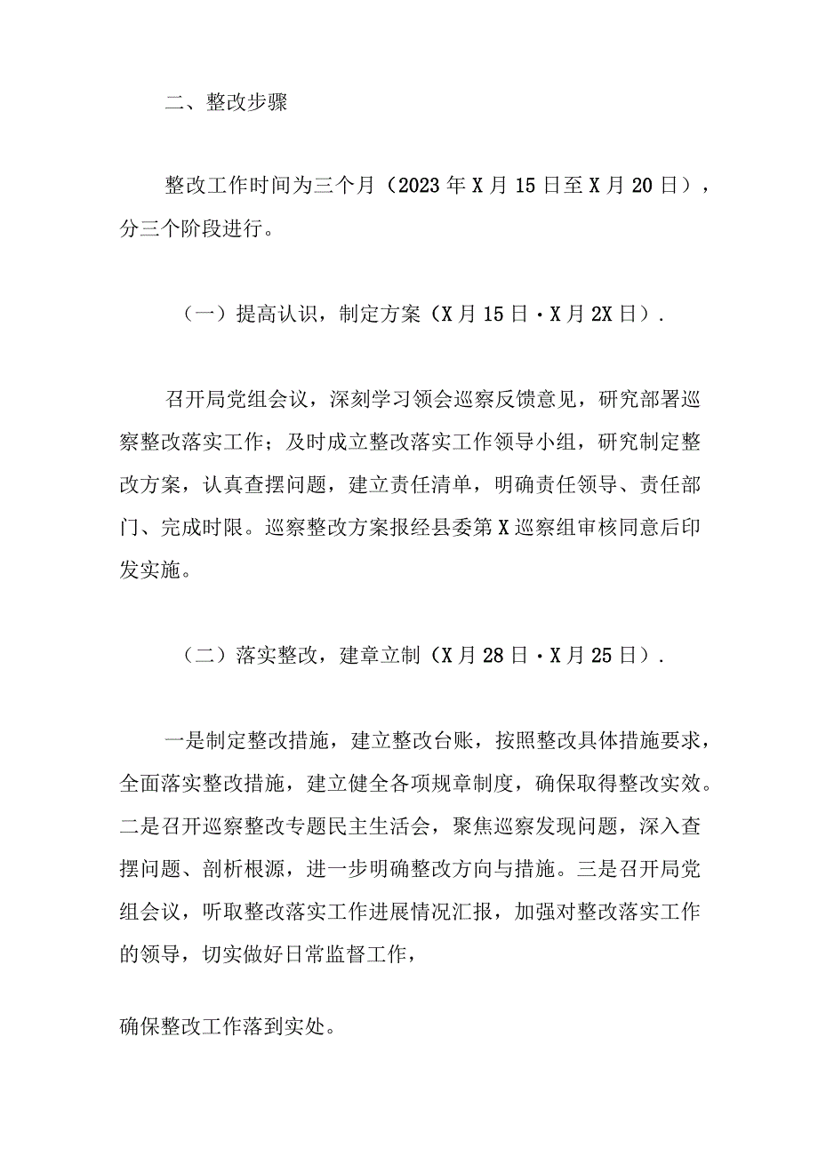 2023年关于落实巡察组反馈意见的整改方案模板.docx_第2页