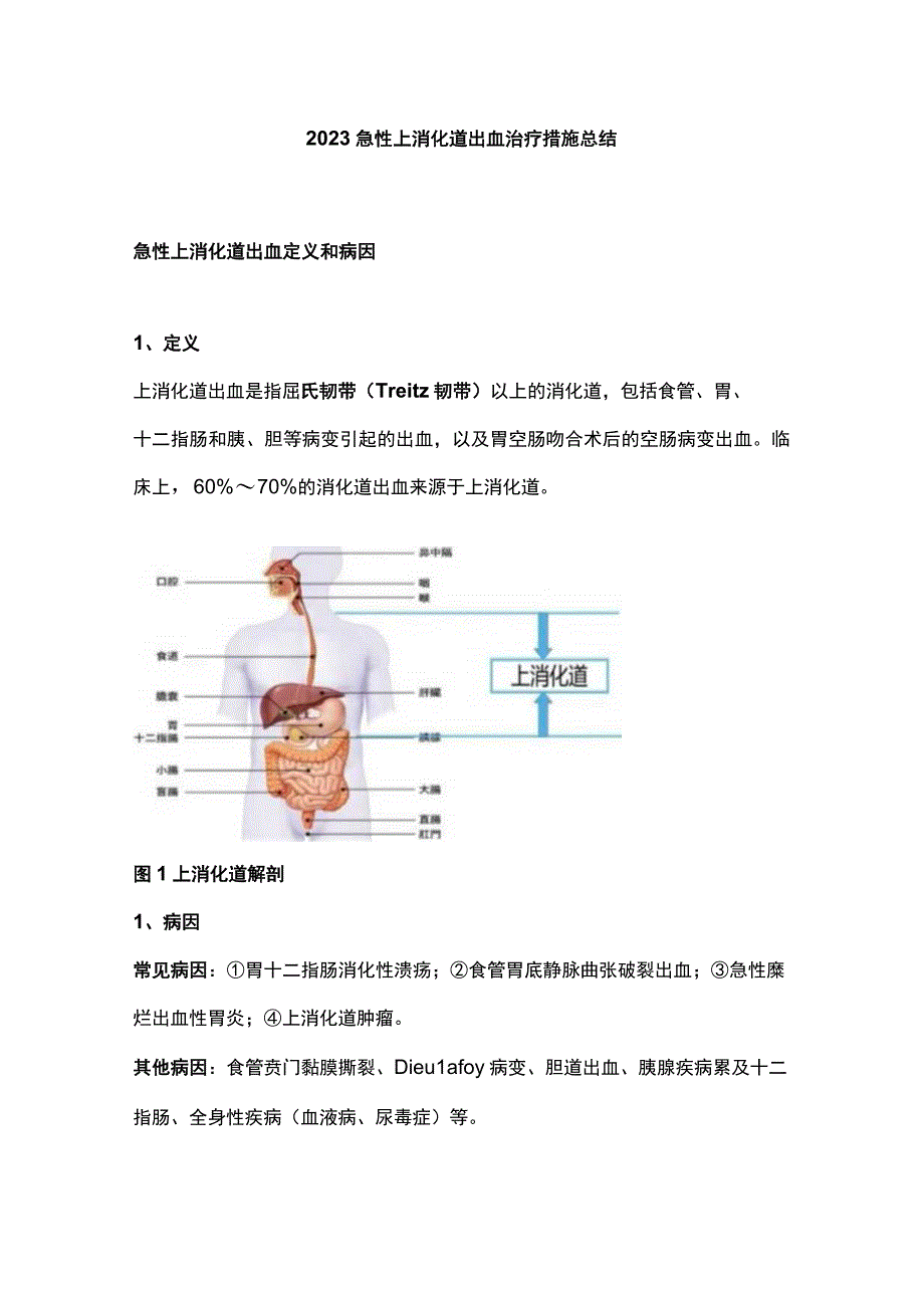 2023急性上消化道出血治疗措施总结.docx_第1页