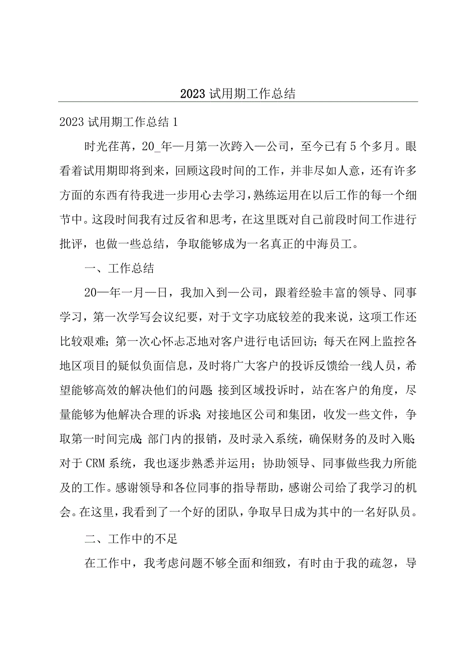 2023试用期工作总结.docx_第1页