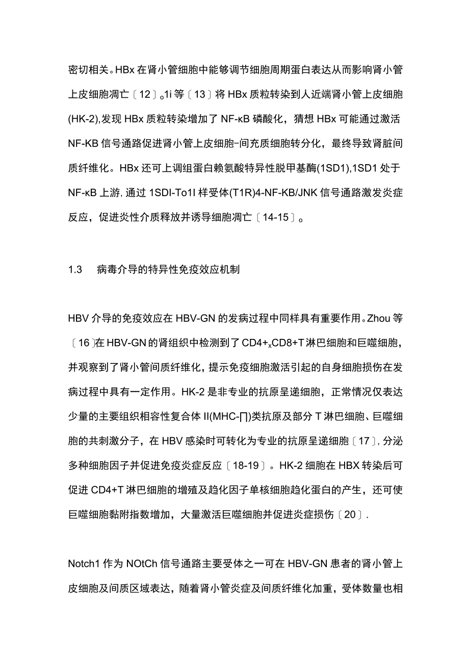 2023年HBV相关肾小球肾炎的研究进展.docx_第3页