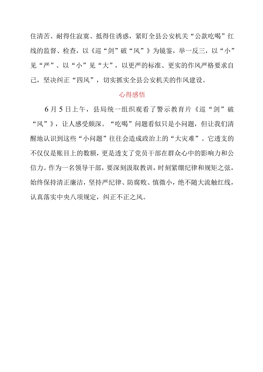 2023年观看专题片《巡剑破风》心得感悟.docx_第3页