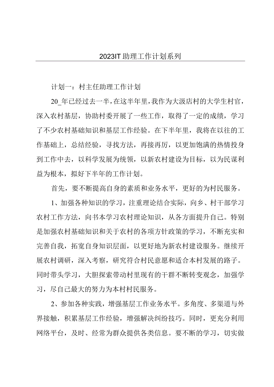 2023IT助理工作计划系列.docx_第1页