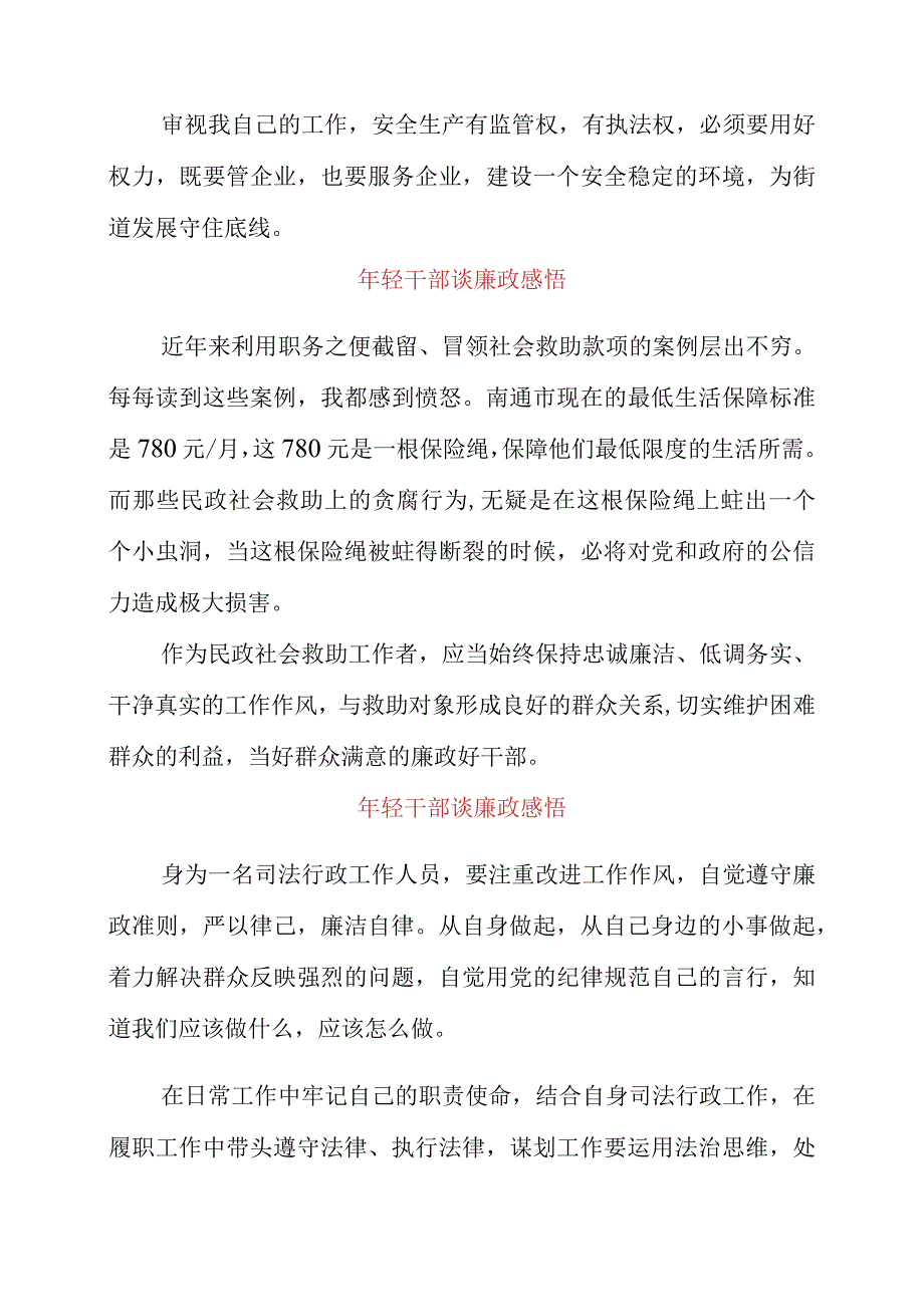 2023年年轻干部谈廉政感悟.docx_第2页