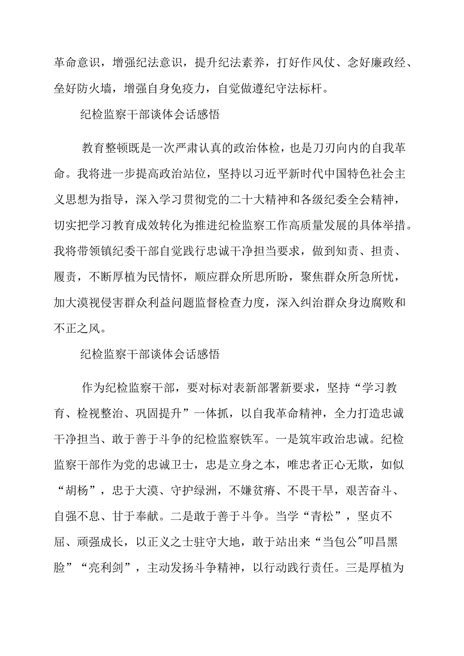 2023年纪检监察干部谈体会话感悟.docx_第2页