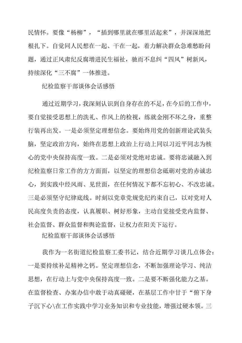 2023年纪检监察干部谈体会话感悟.docx_第3页