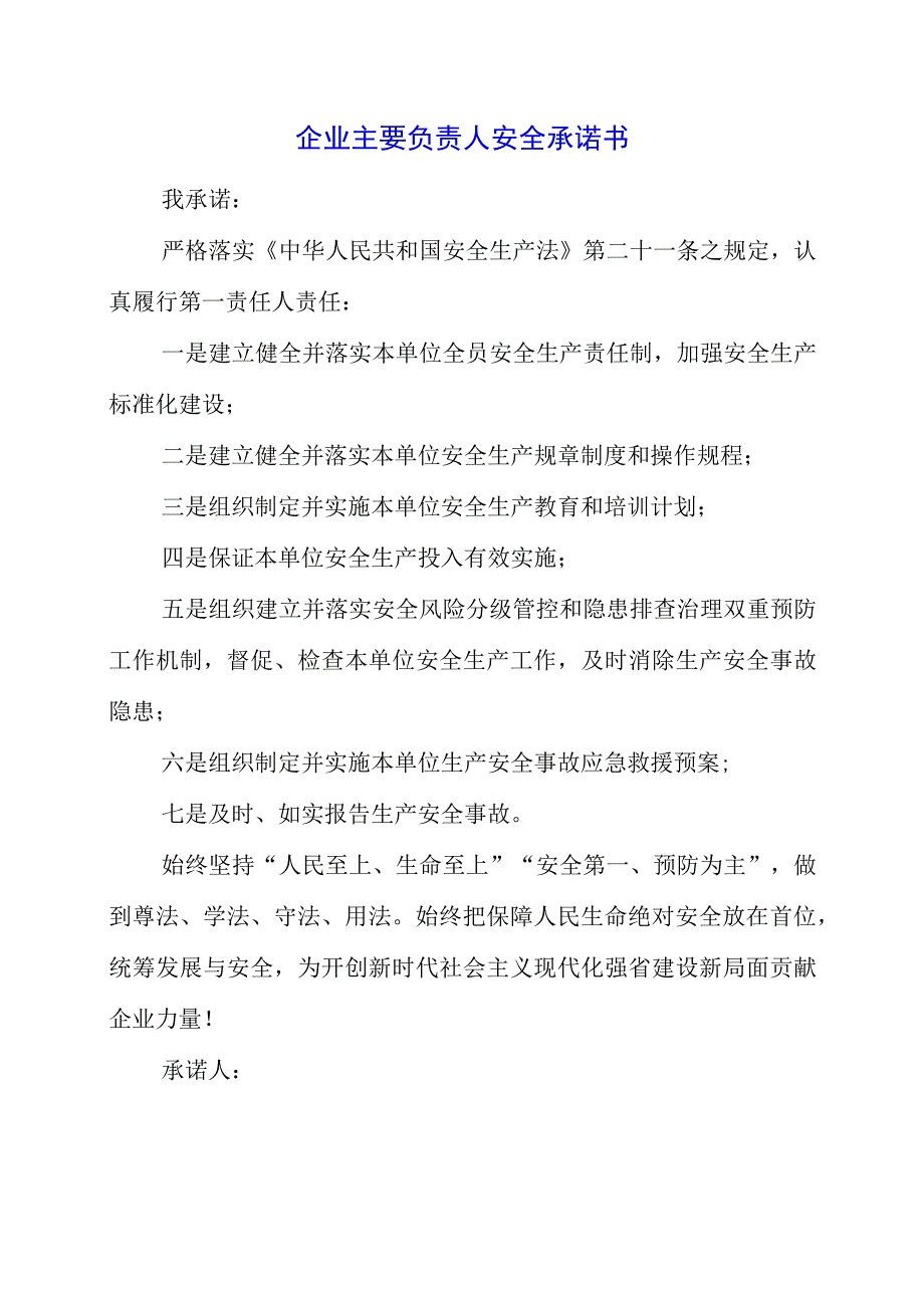 2023年企业主要负责人安全承诺书.docx_第1页