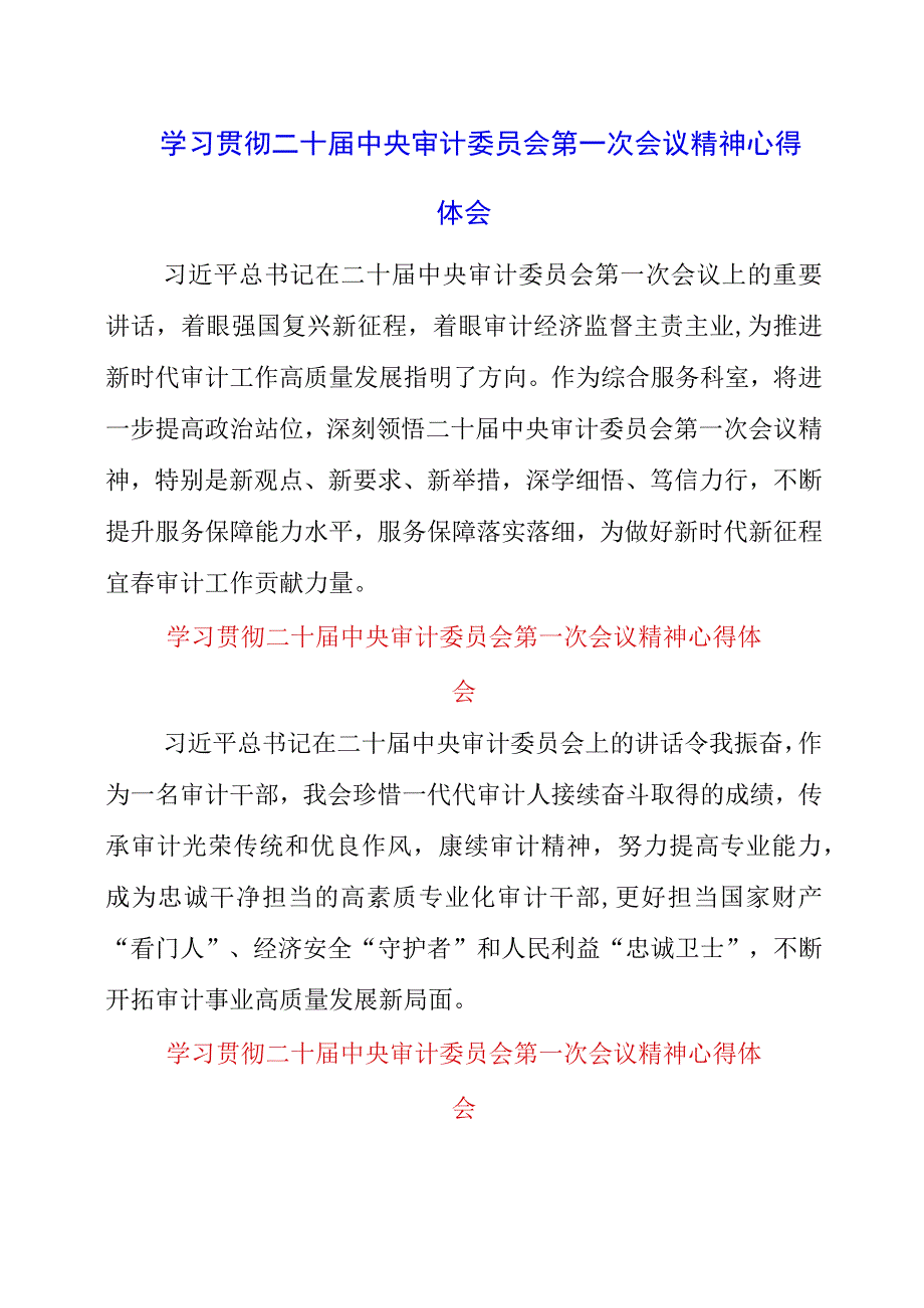 2023年学习贯彻二十届中央审计委员会第一次会议精神心得体会.docx_第1页