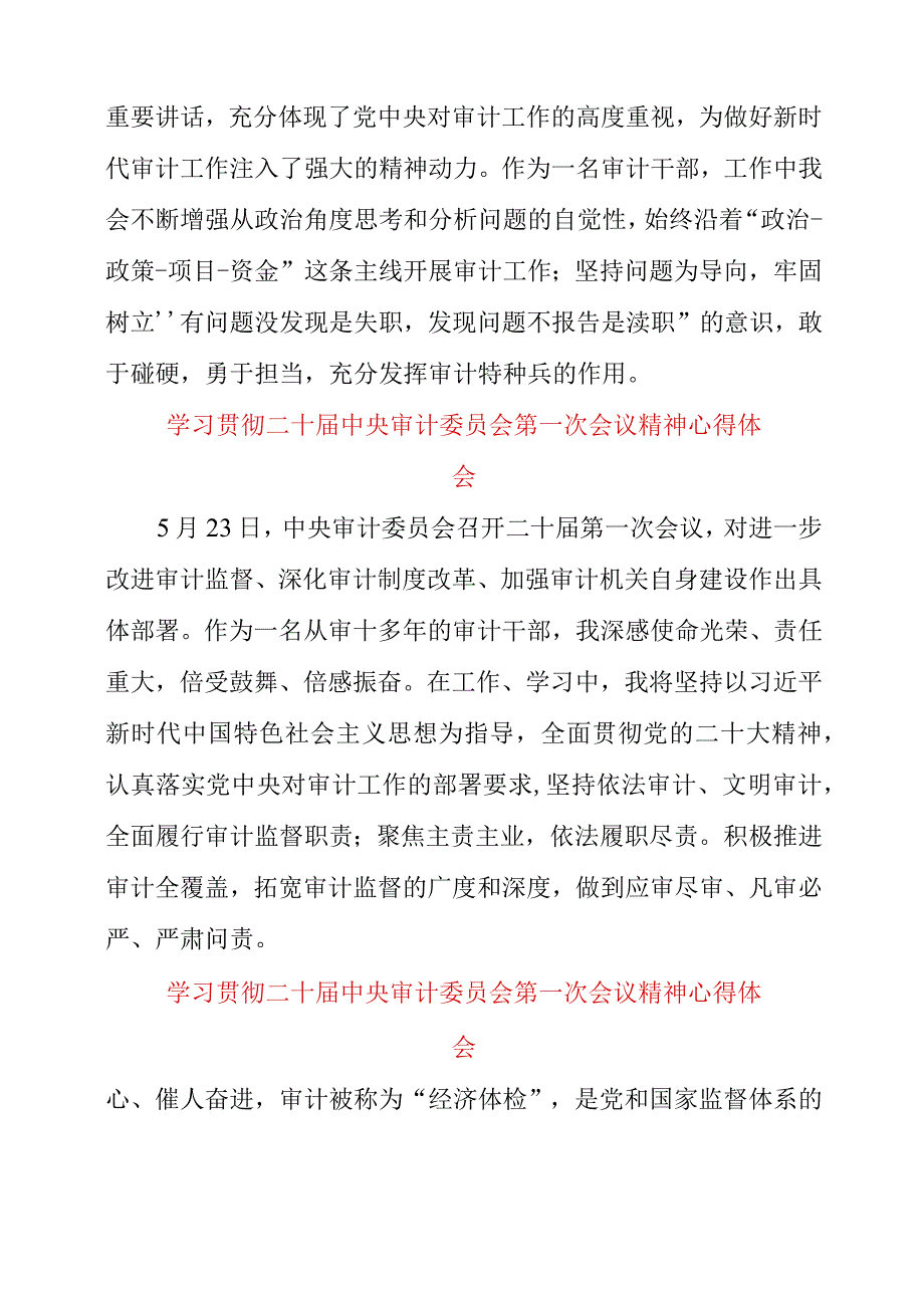 2023年学习贯彻二十届中央审计委员会第一次会议精神心得体会.docx_第2页