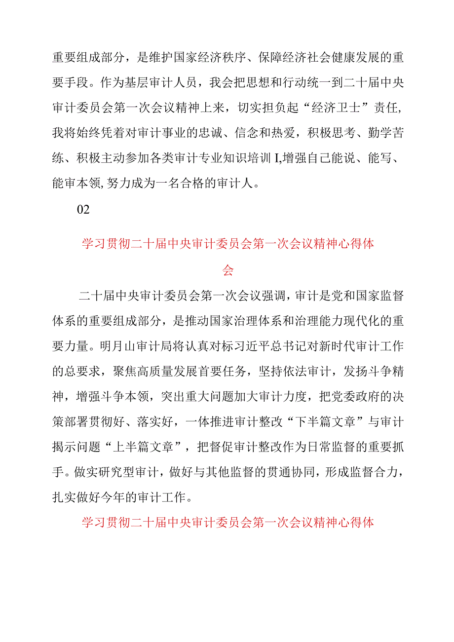 2023年学习贯彻二十届中央审计委员会第一次会议精神心得体会.docx_第3页