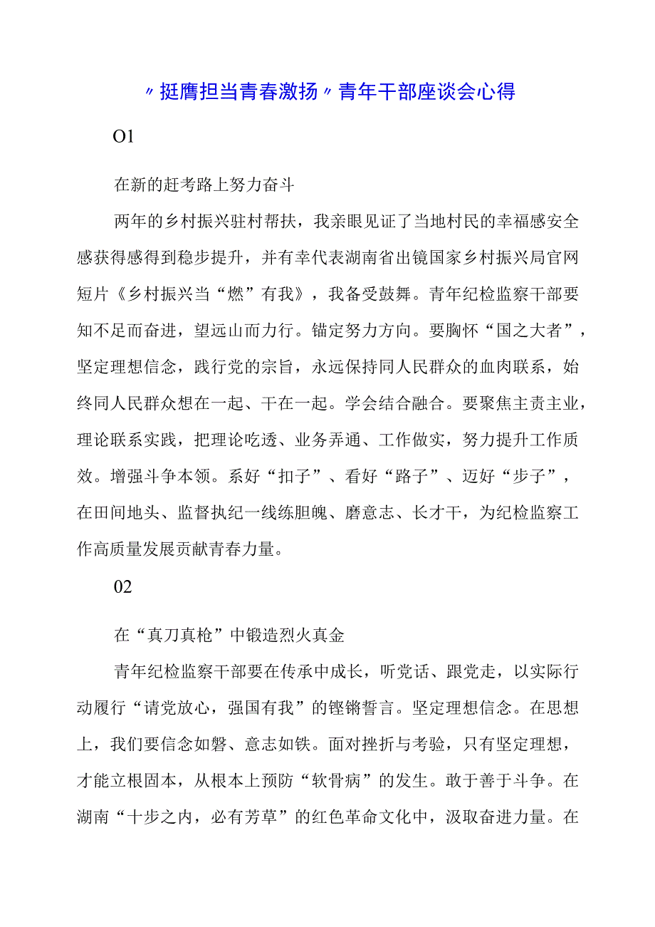 2023年挺膺担当 青春激扬青年干部座谈会心得.docx_第1页