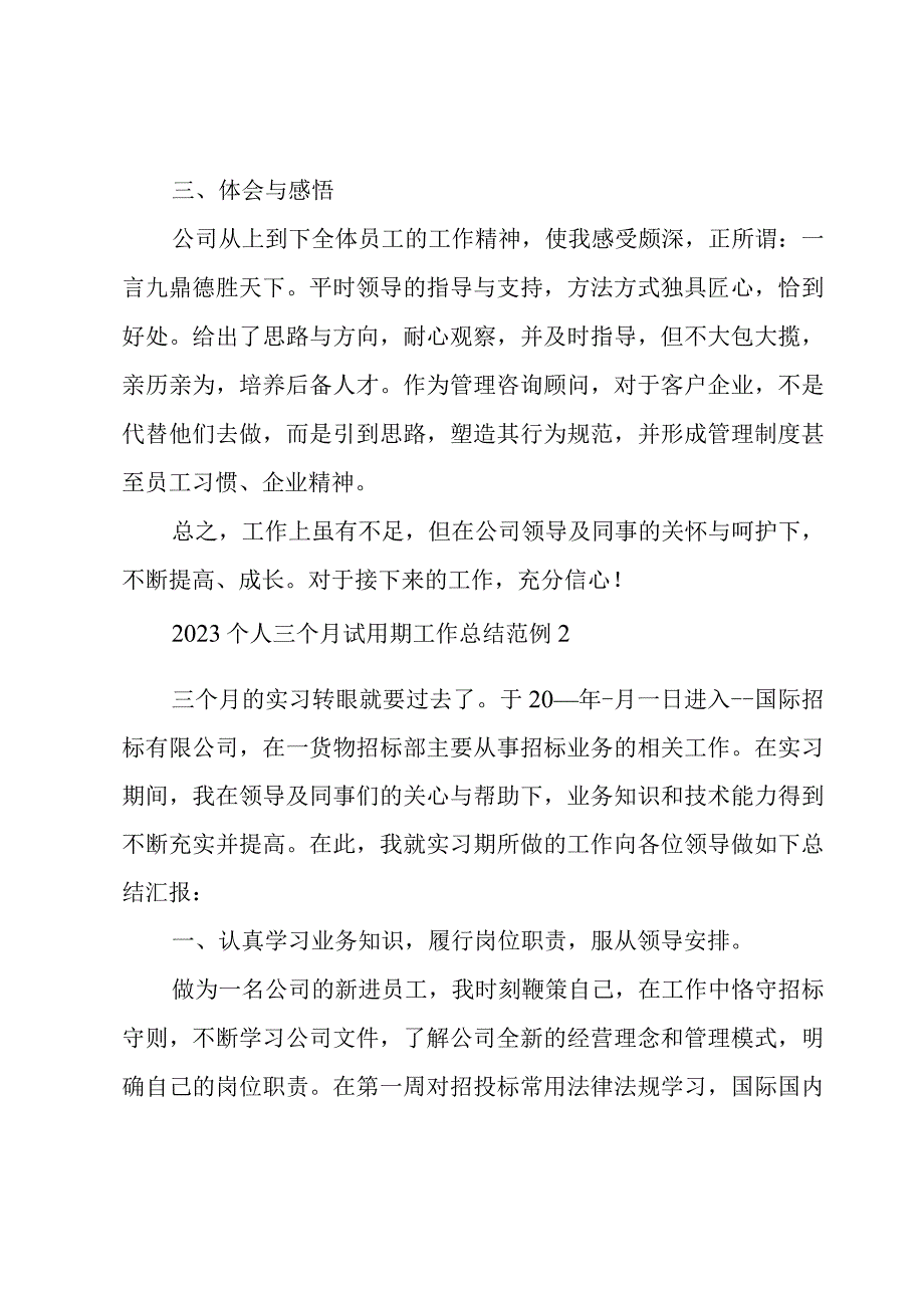 2023个人三个月试用期工作总结范例.docx_第2页