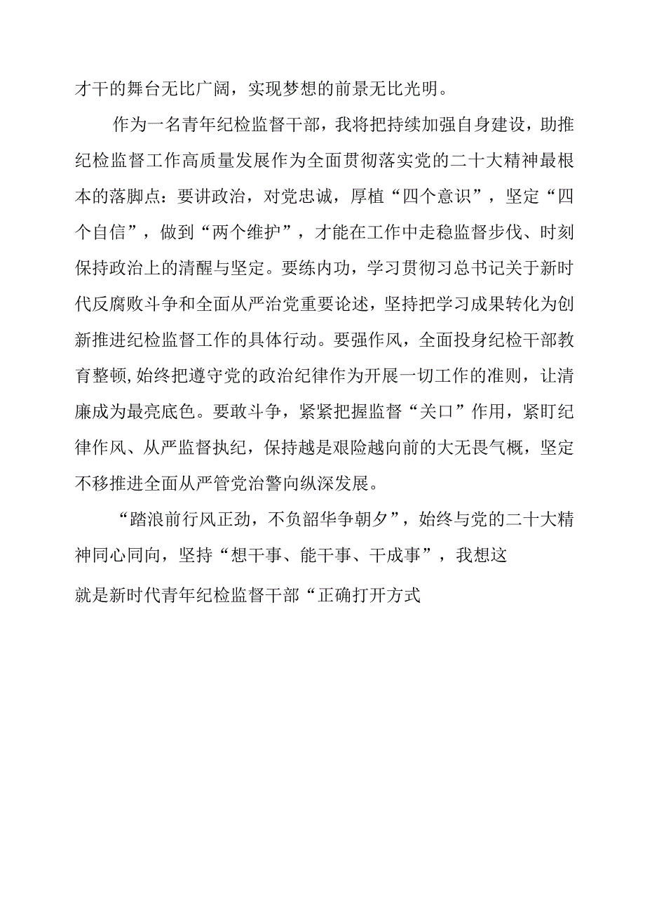 2023年在党的二十大报告中找寻青年纪检监督干部的正确打开方式个人学习心得.docx_第3页