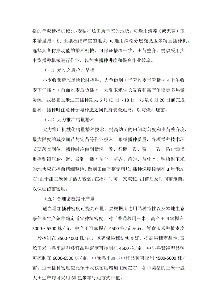 农业生产夏玉米播种苗期管理穗期管理花粒期管理机械收获等生产技术指导意见.docx_第2页