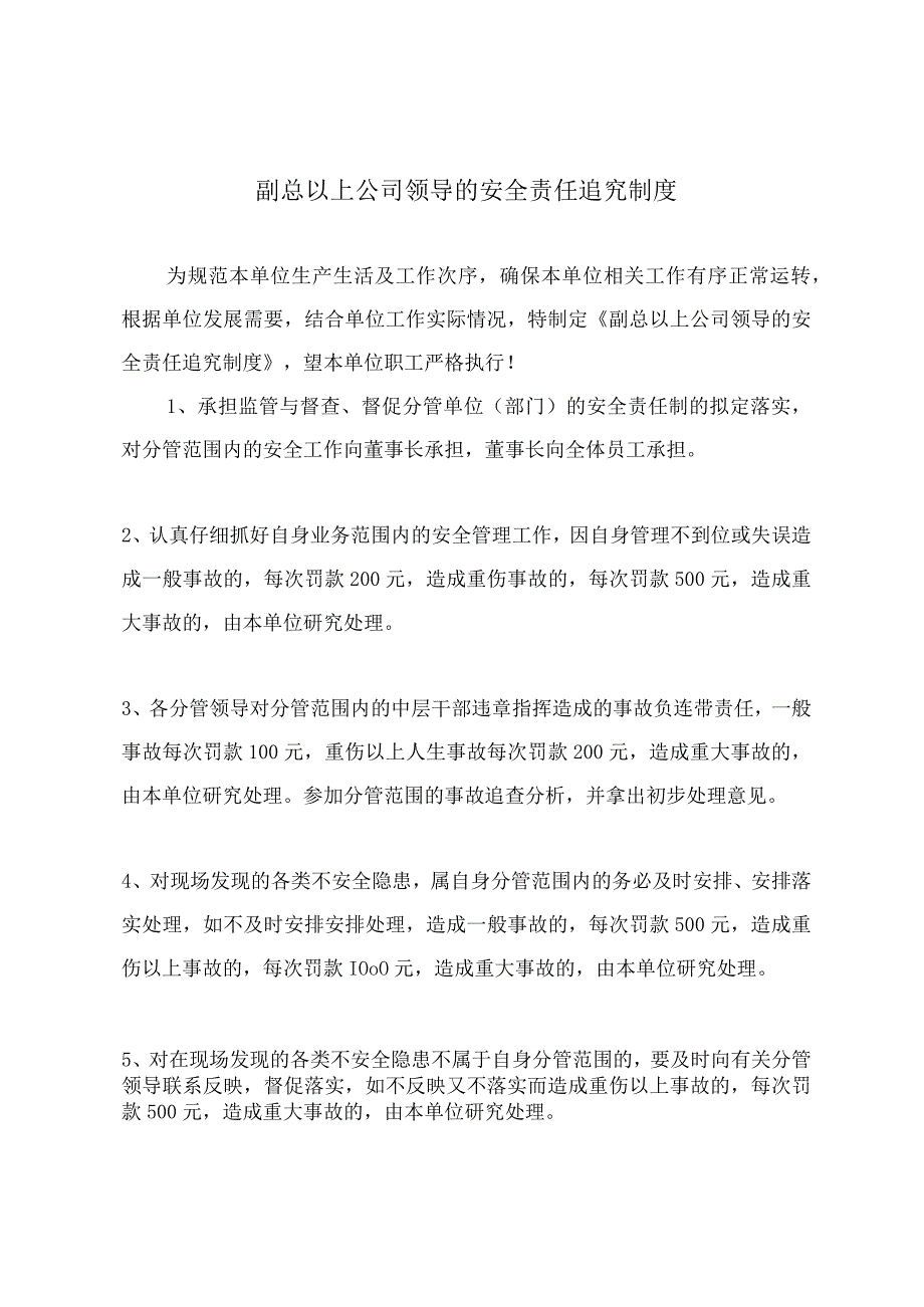 副总以上公司领导的安全责任追究制度.docx_第2页