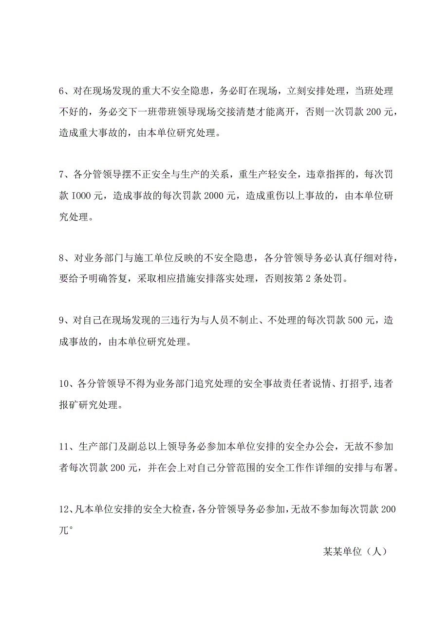 副总以上公司领导的安全责任追究制度.docx_第3页