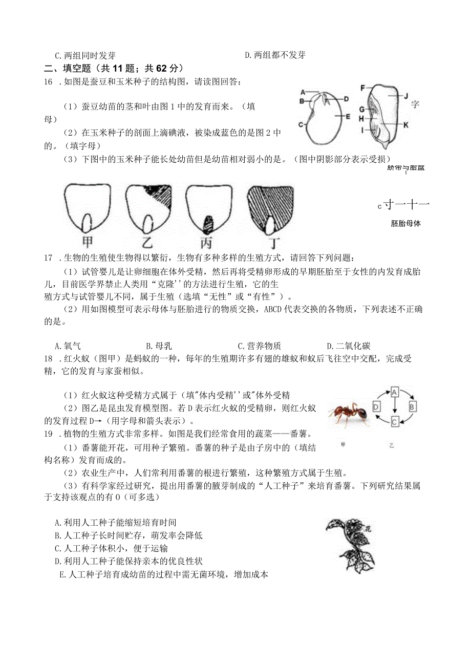 初中教学：第一章 代代相传的生命 期末复习卷含答案.docx_第3页