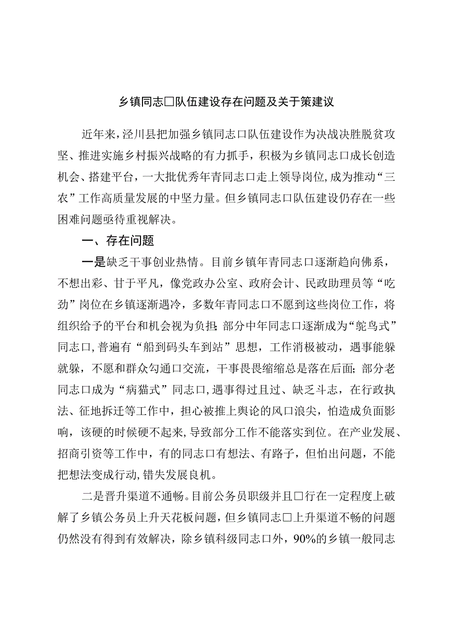 乡镇干部队伍建设存在问题及对策建议.docx_第1页