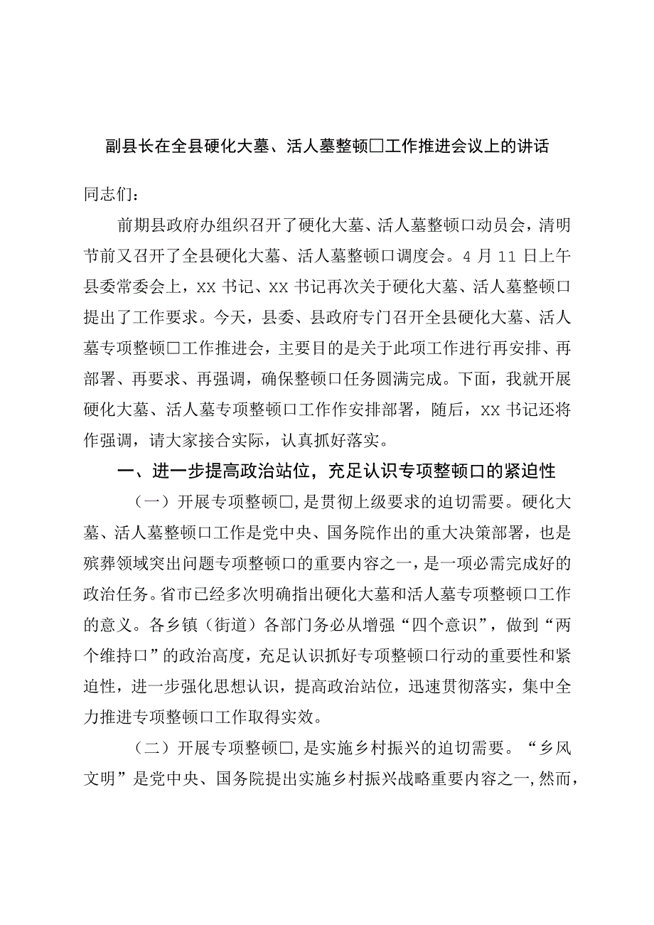 副县长在全县硬化大墓活人墓整治工作推进会议上的讲话.docx_第1页