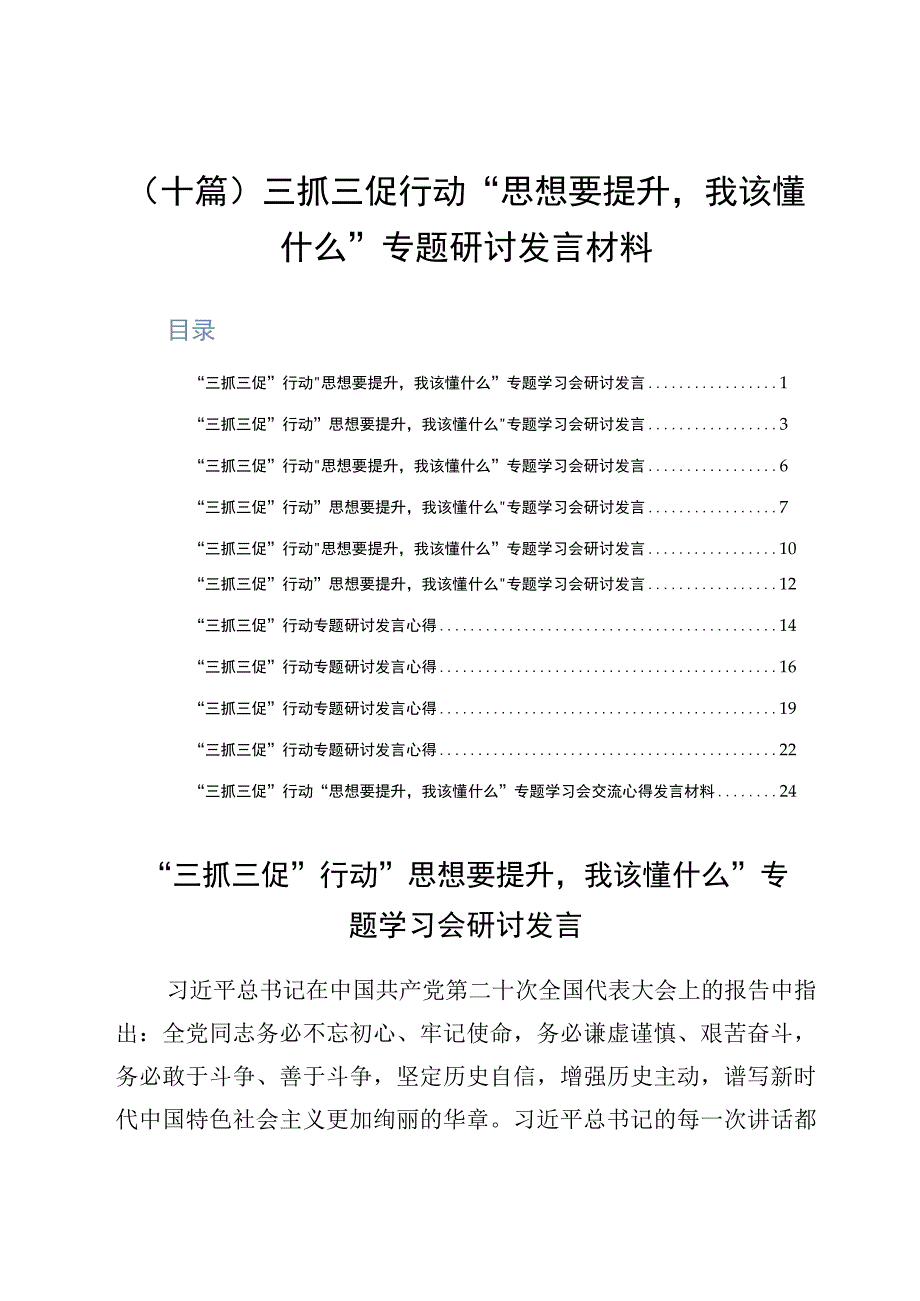 十篇三抓三促行动思想要提升我该懂什么专题研讨发言材料.docx_第1页