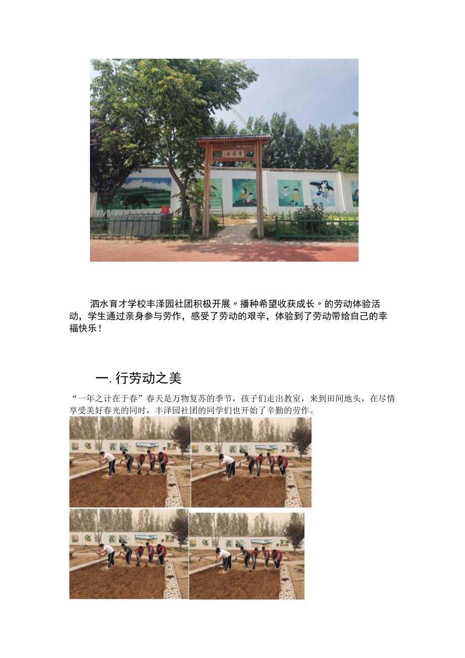 学生农乐社团公众号新闻报道美篇.docx_第2页