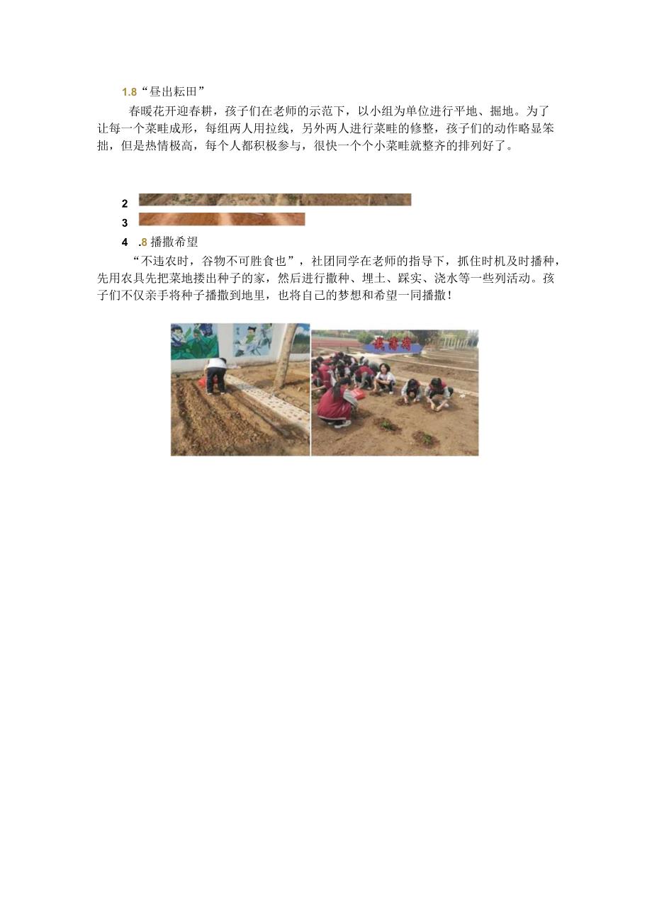 学生农乐社团公众号新闻报道美篇.docx_第3页