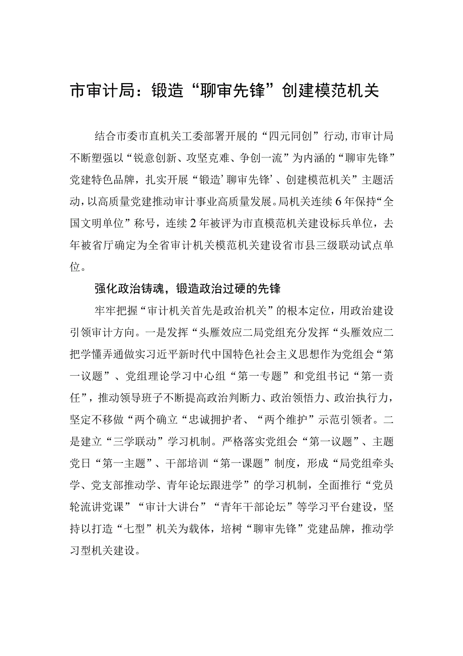 市审计局：锻造聊审先锋+创建模范机关20230531.docx_第1页