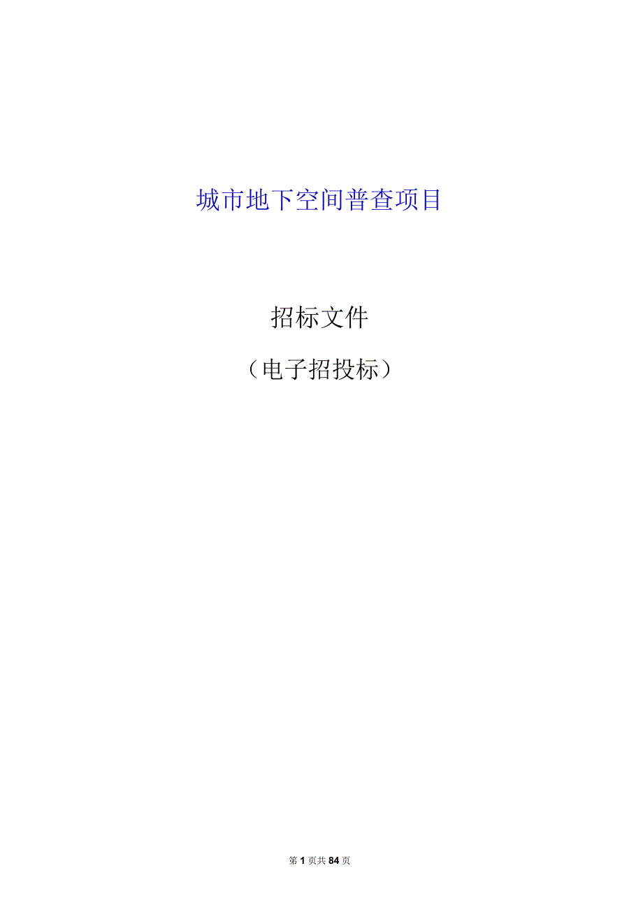 城市地下空间普查项目招标文件.docx_第1页