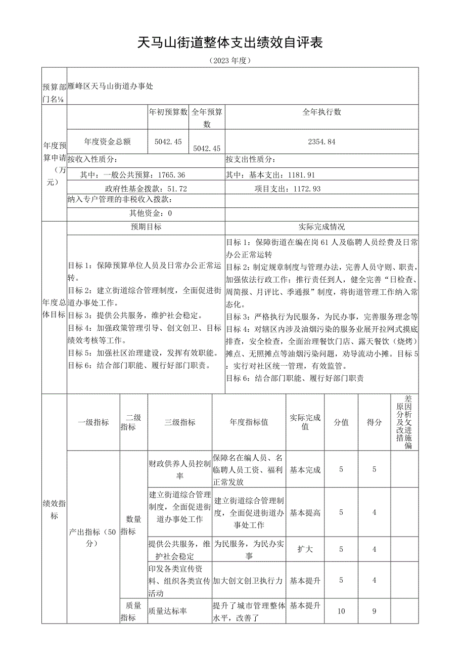 天马山街道整体支出绩效自评表.docx_第1页