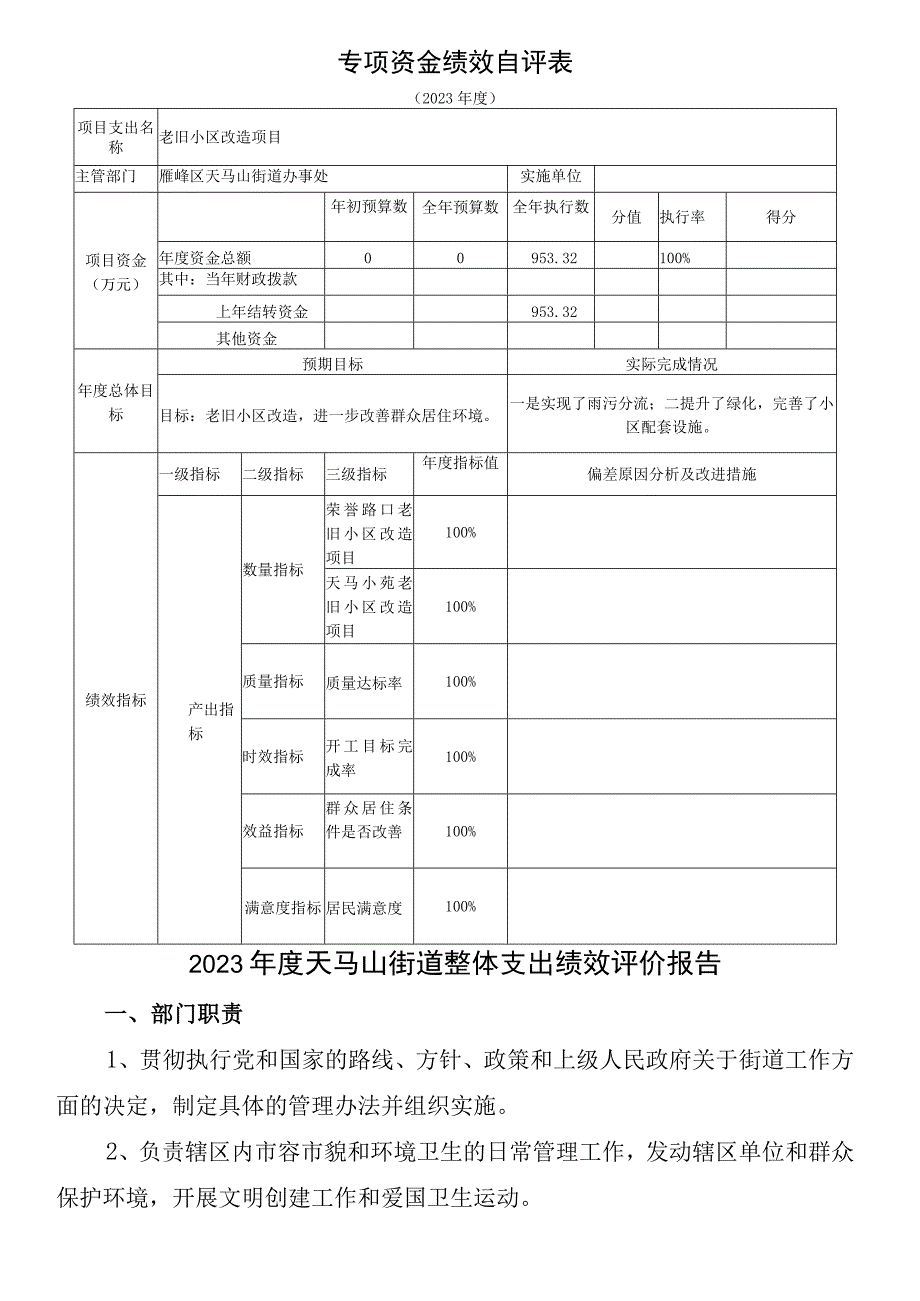 天马山街道整体支出绩效自评表.docx_第3页