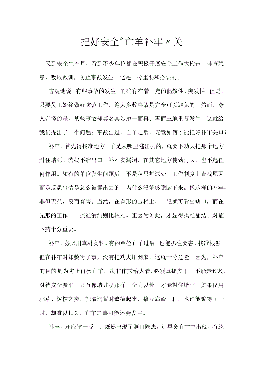 把好安全亡羊补牢关模板范本.docx_第1页