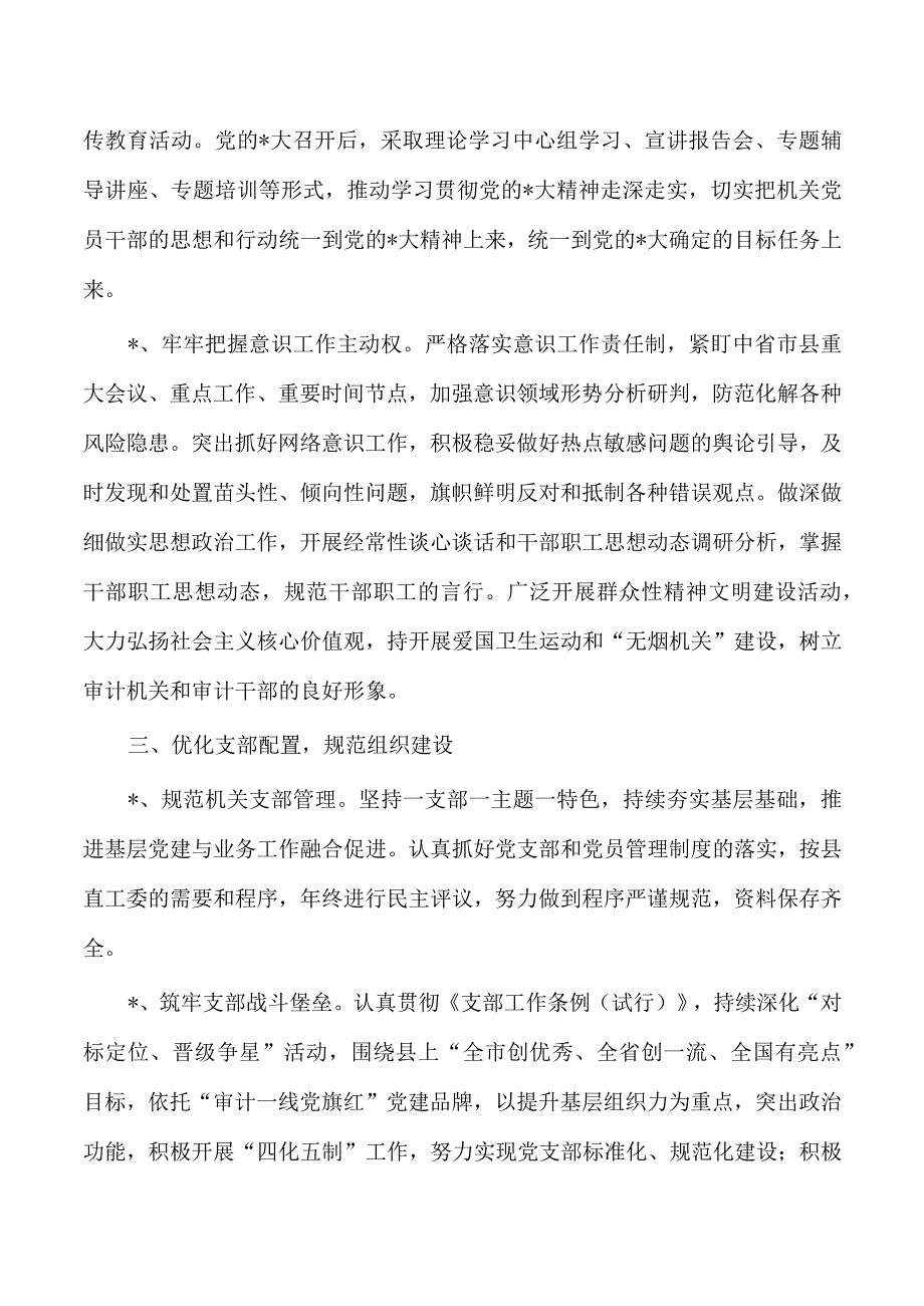 审计2023年党建要点.docx_第3页