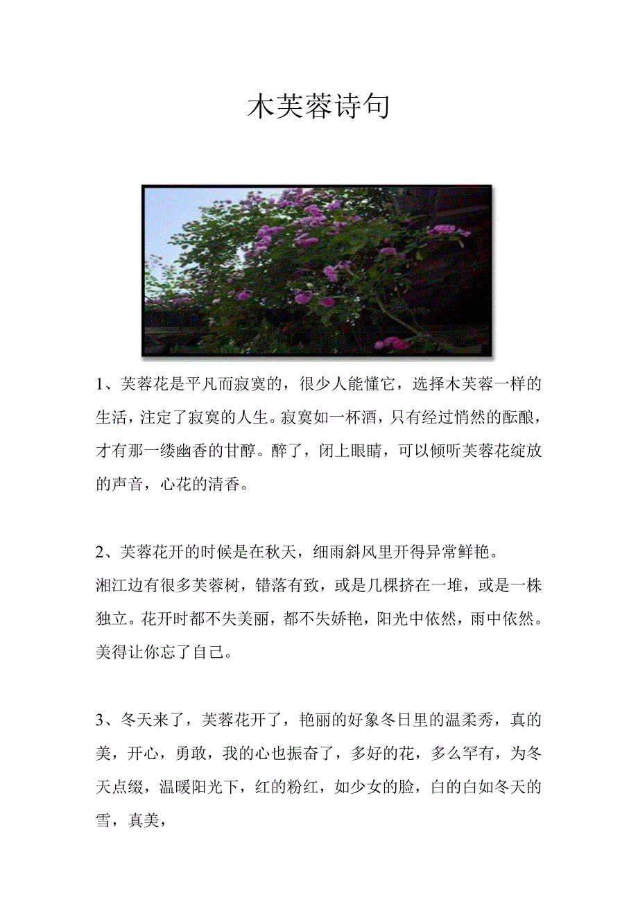 木芙蓉诗句.docx_第1页