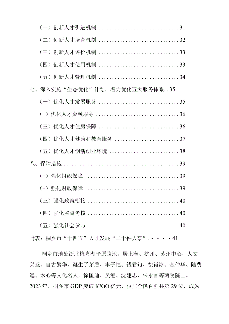 桐乡市人才发展十四五规划.docx_第3页