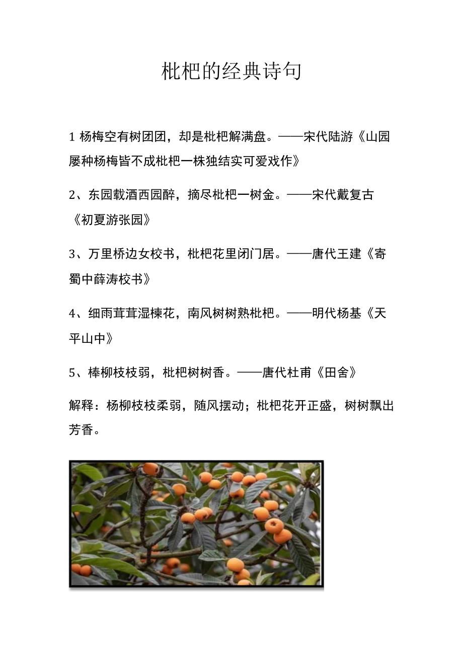 枇杷的经典诗句.docx_第1页