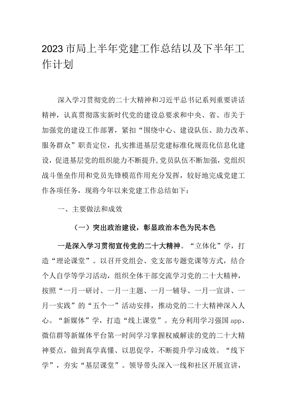 2023市局上半年党建工作总结以及下半年工作计划.docx_第1页