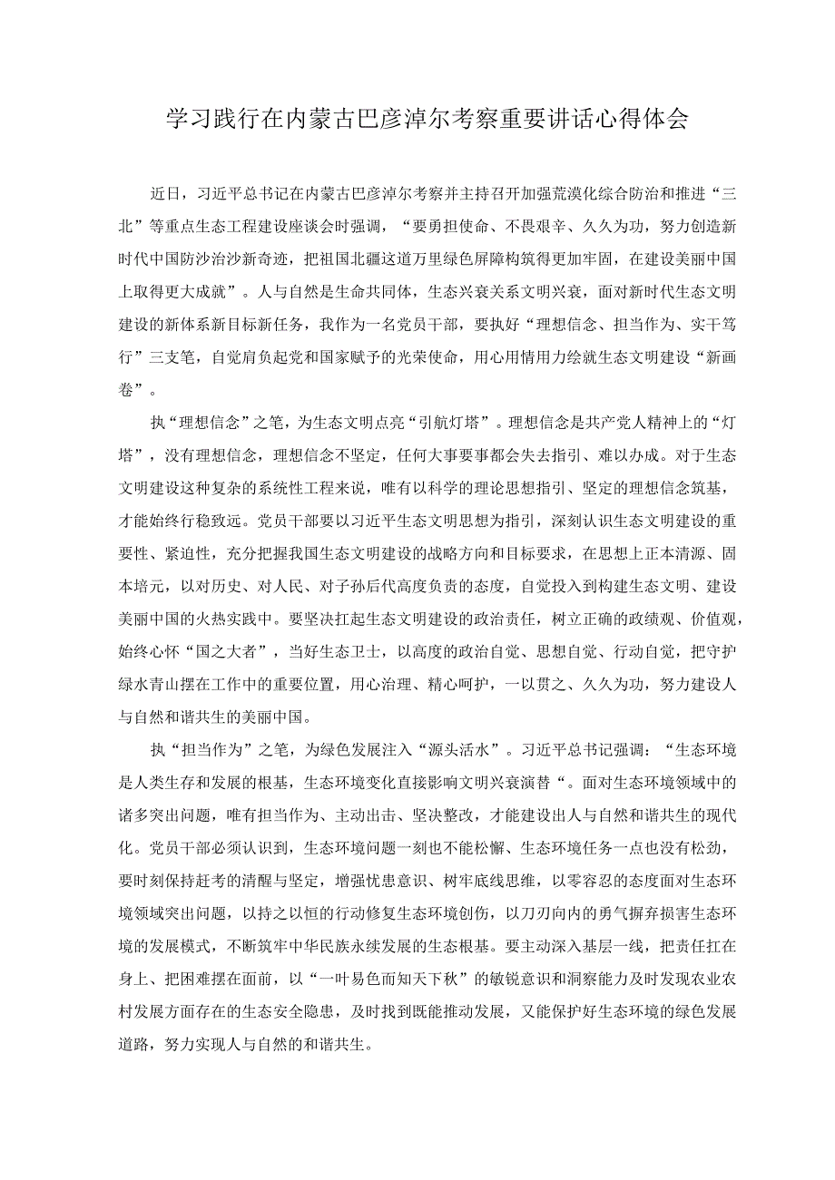 2023年学习践行在内蒙古巴彦淖尔考察重要讲话心得体会.docx_第1页