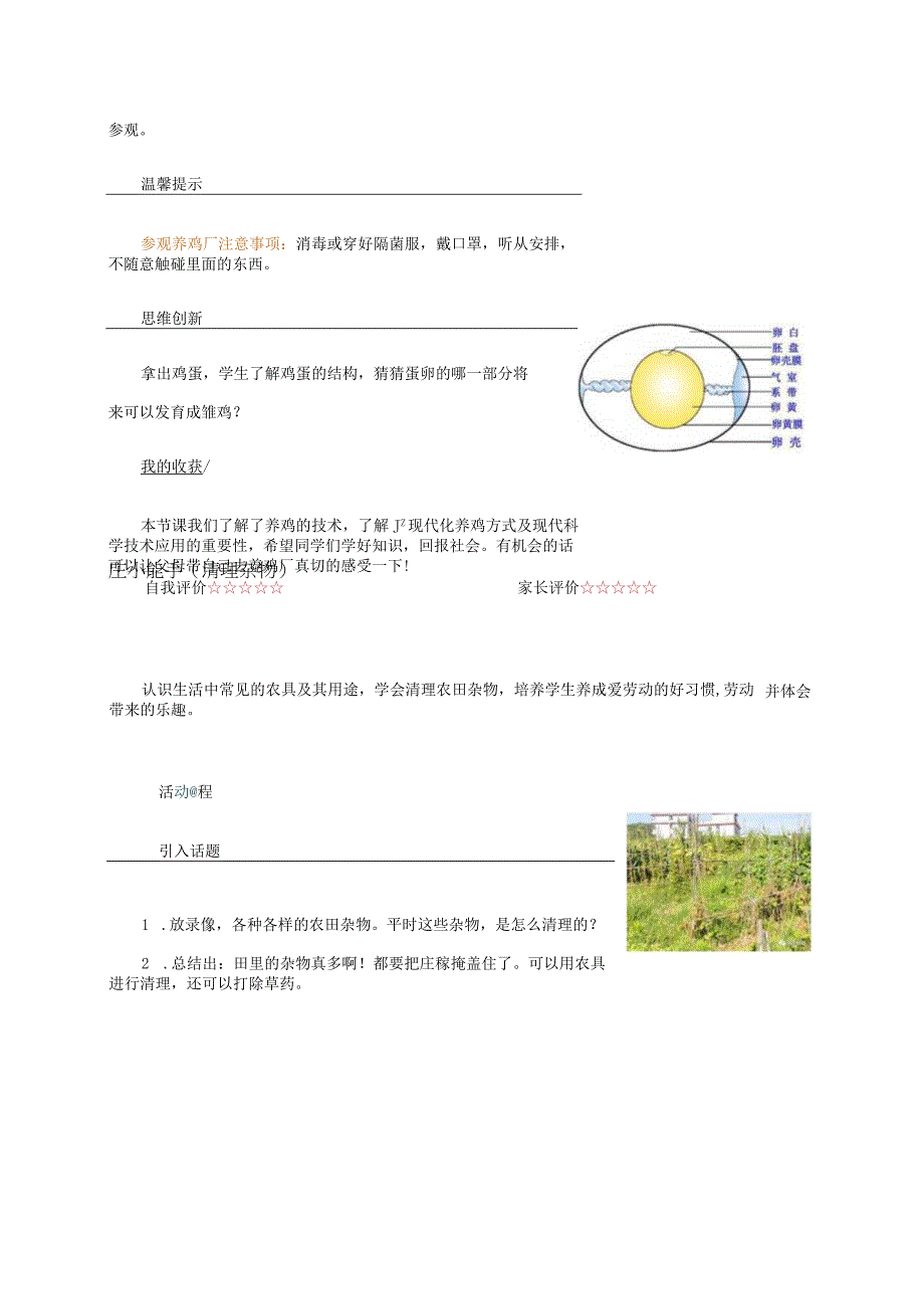 2023年二年级劳动教育教案合集.docx_第2页