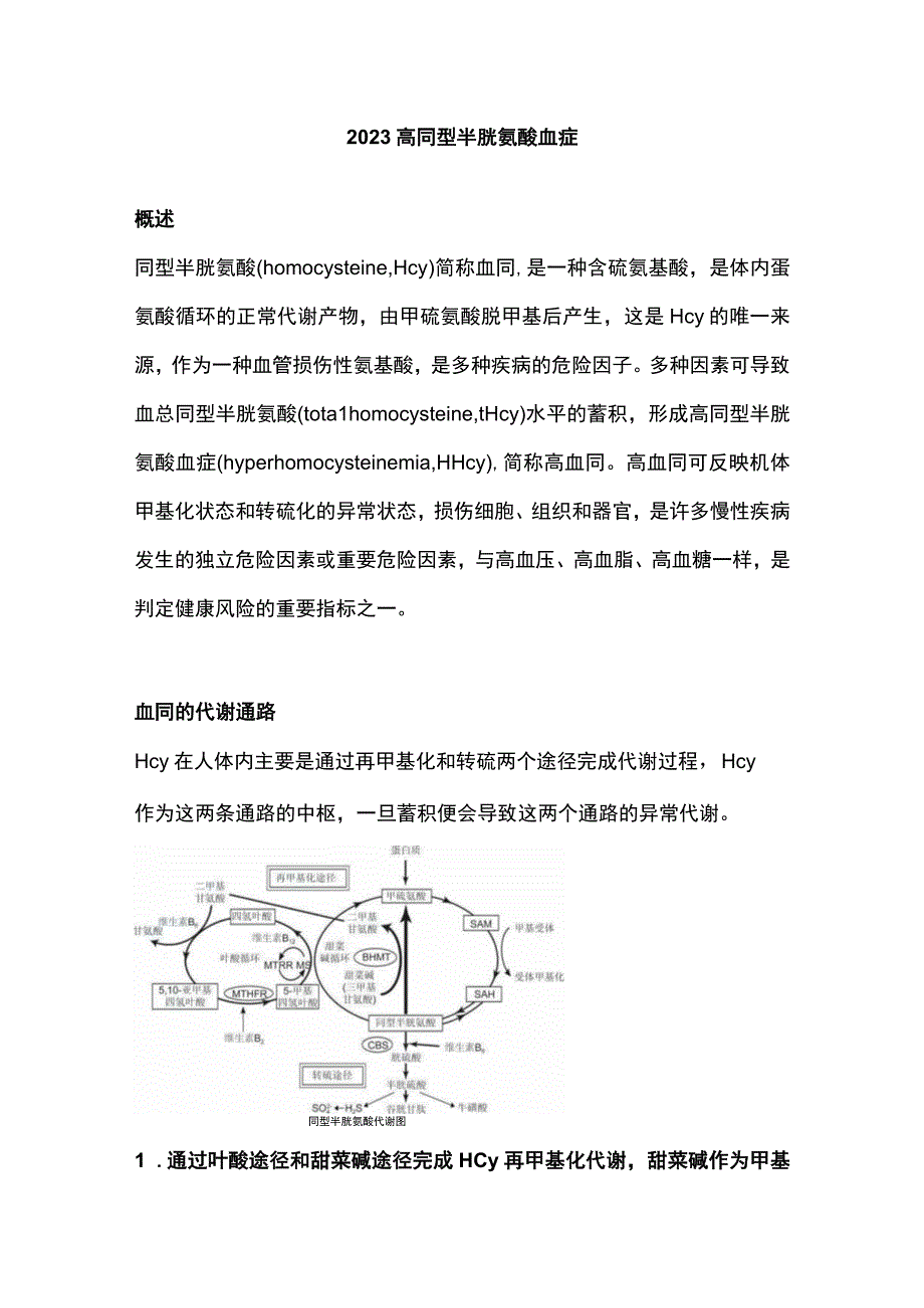 2023高同型半胱氨酸血症.docx_第1页