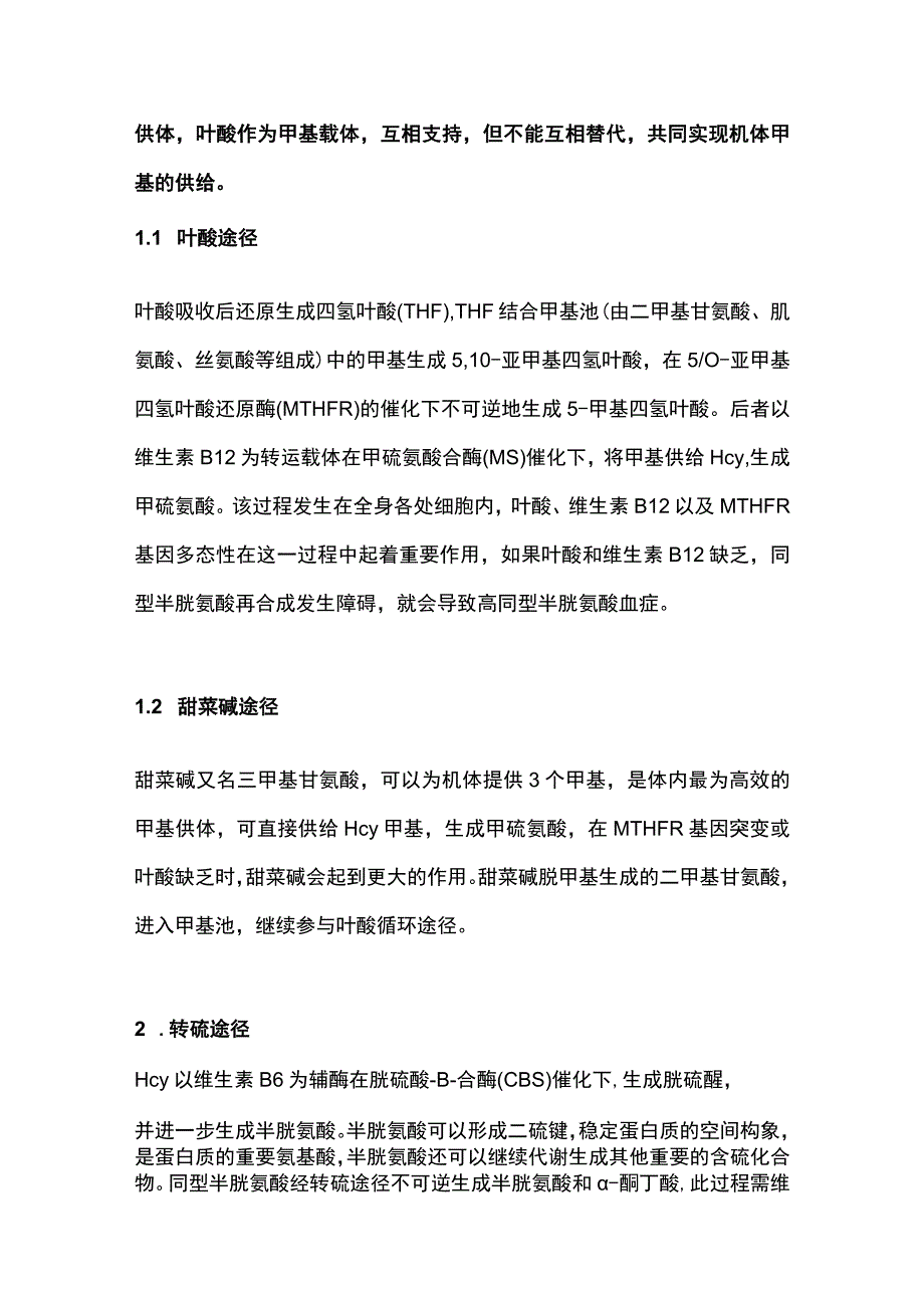 2023高同型半胱氨酸血症.docx_第2页