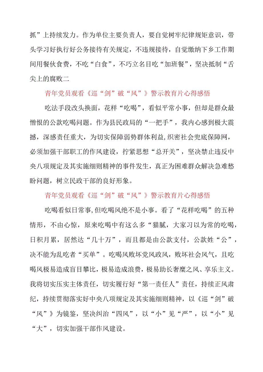 2023年青年党员观看《巡剑破风》警示教育片心得感悟.docx_第2页