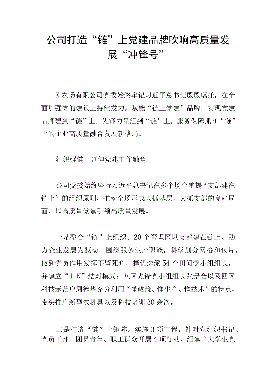 公司打造链上党建品牌 吹响高质量发展冲锋号.docx_第1页