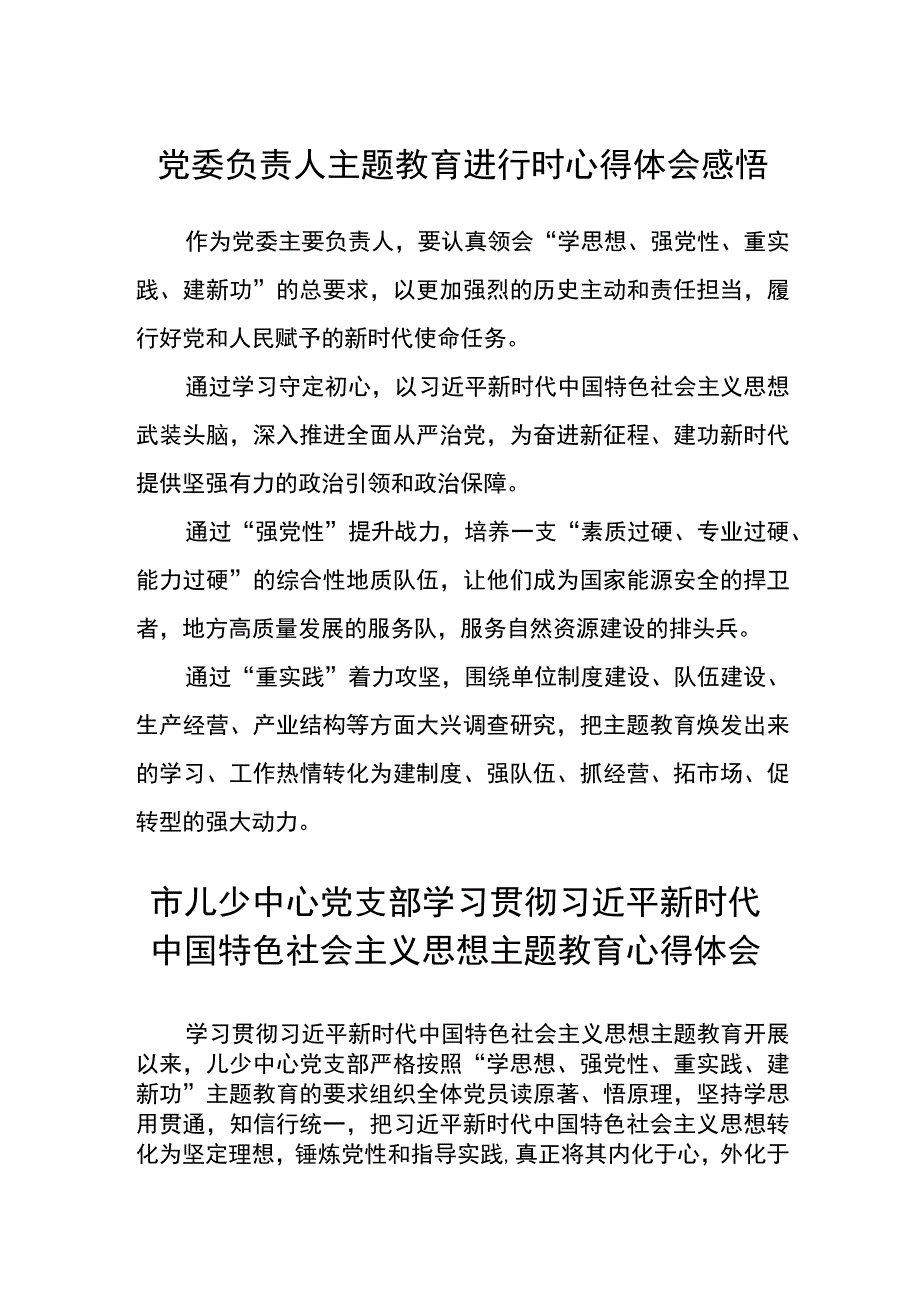 党委负责人主题教育进行时心得体会感悟3篇精选范文.docx_第1页