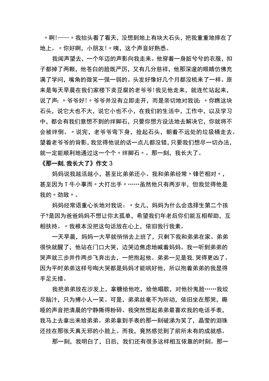 《那一刻我长大了》作文精选八篇.docx_第2页