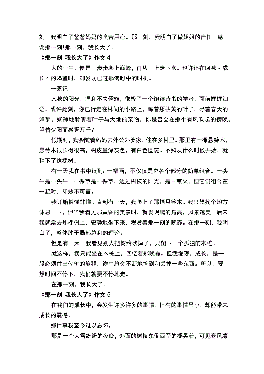 《那一刻我长大了》作文精选八篇.docx_第3页