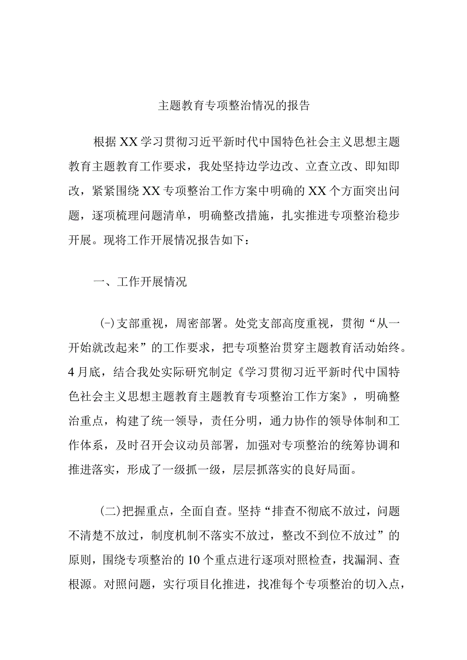 主题教育专项整治情况的报告优选范文.docx_第1页