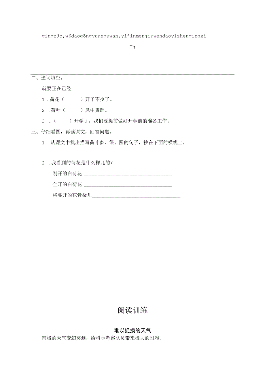 《荷花》同步练习.docx_第2页