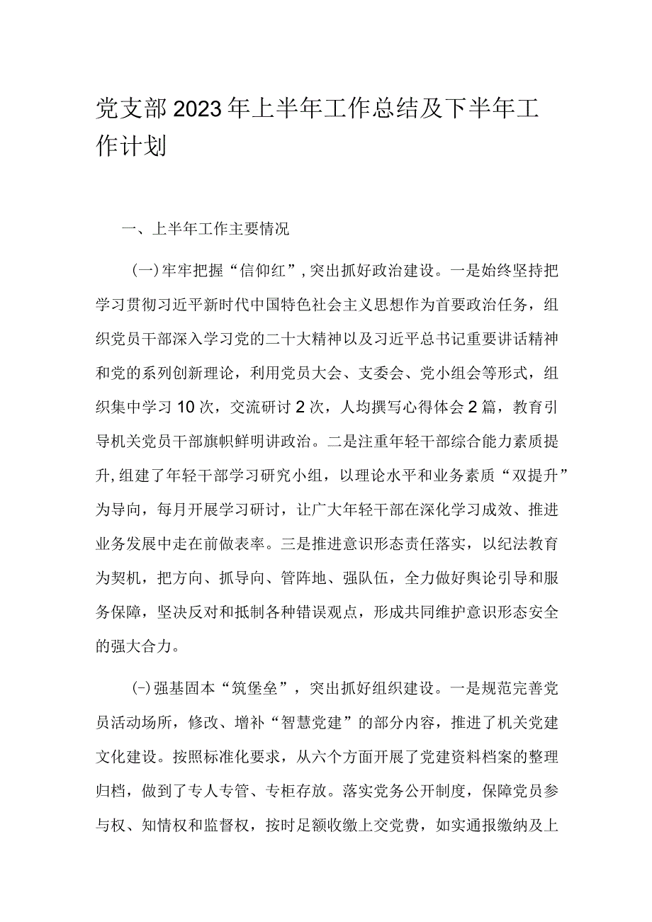 党支部2023年上半年工作总结及下半年工作计划.docx_第1页